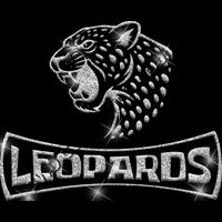 GLT94 SILVER GLITTER Thumbnail